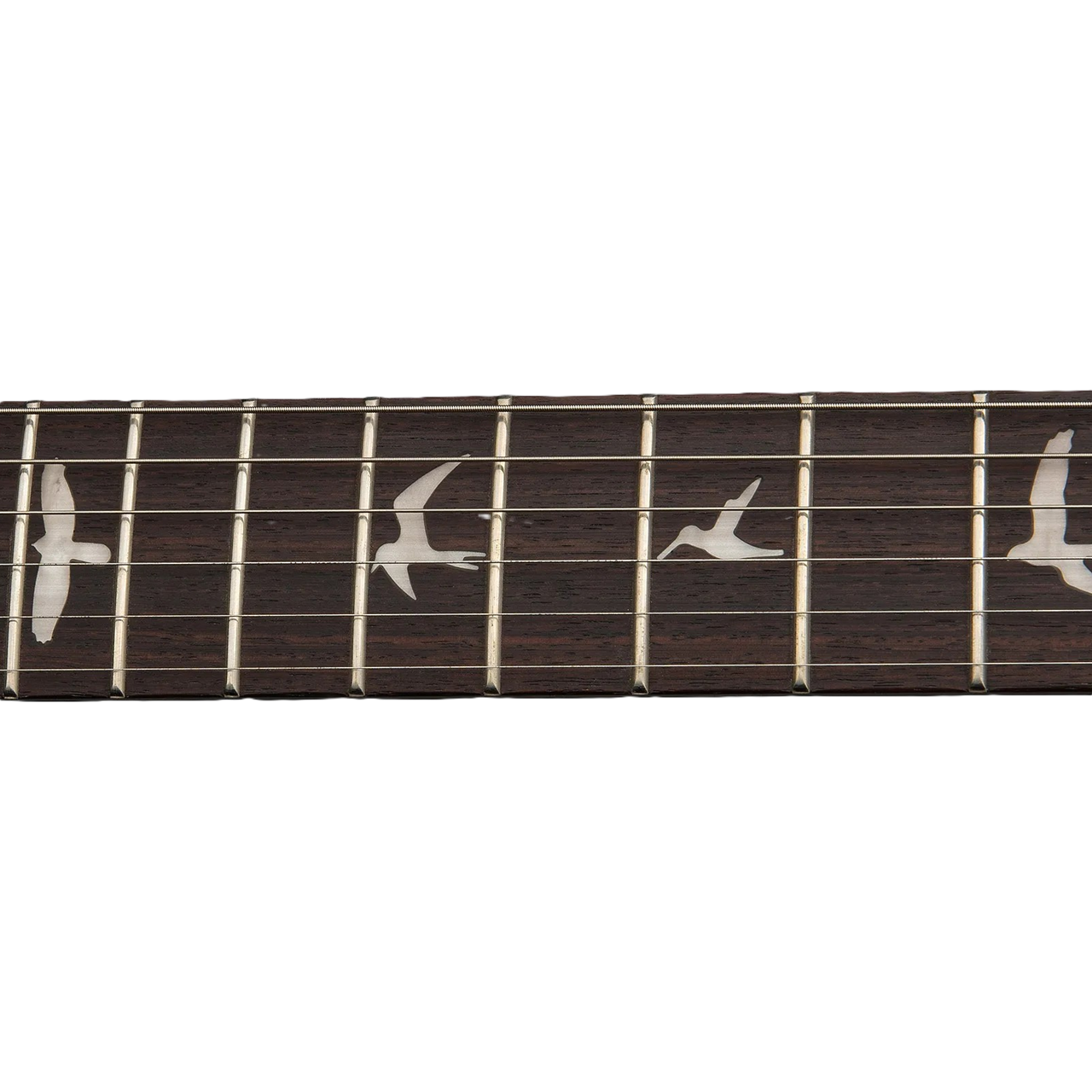 PRS SE CE 24 Standard Stoptail Satin Ice Blue Metallic - Image 7