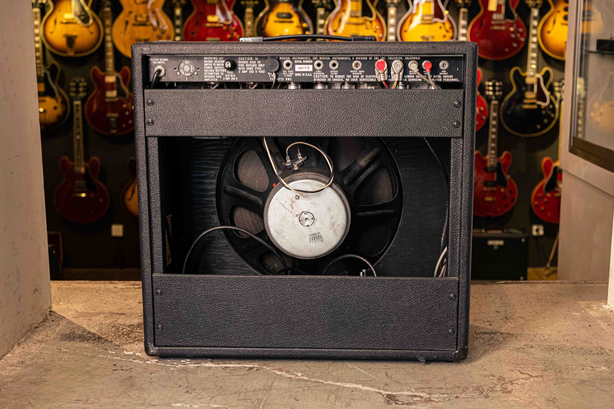 Fender 75 1980 - Image 3