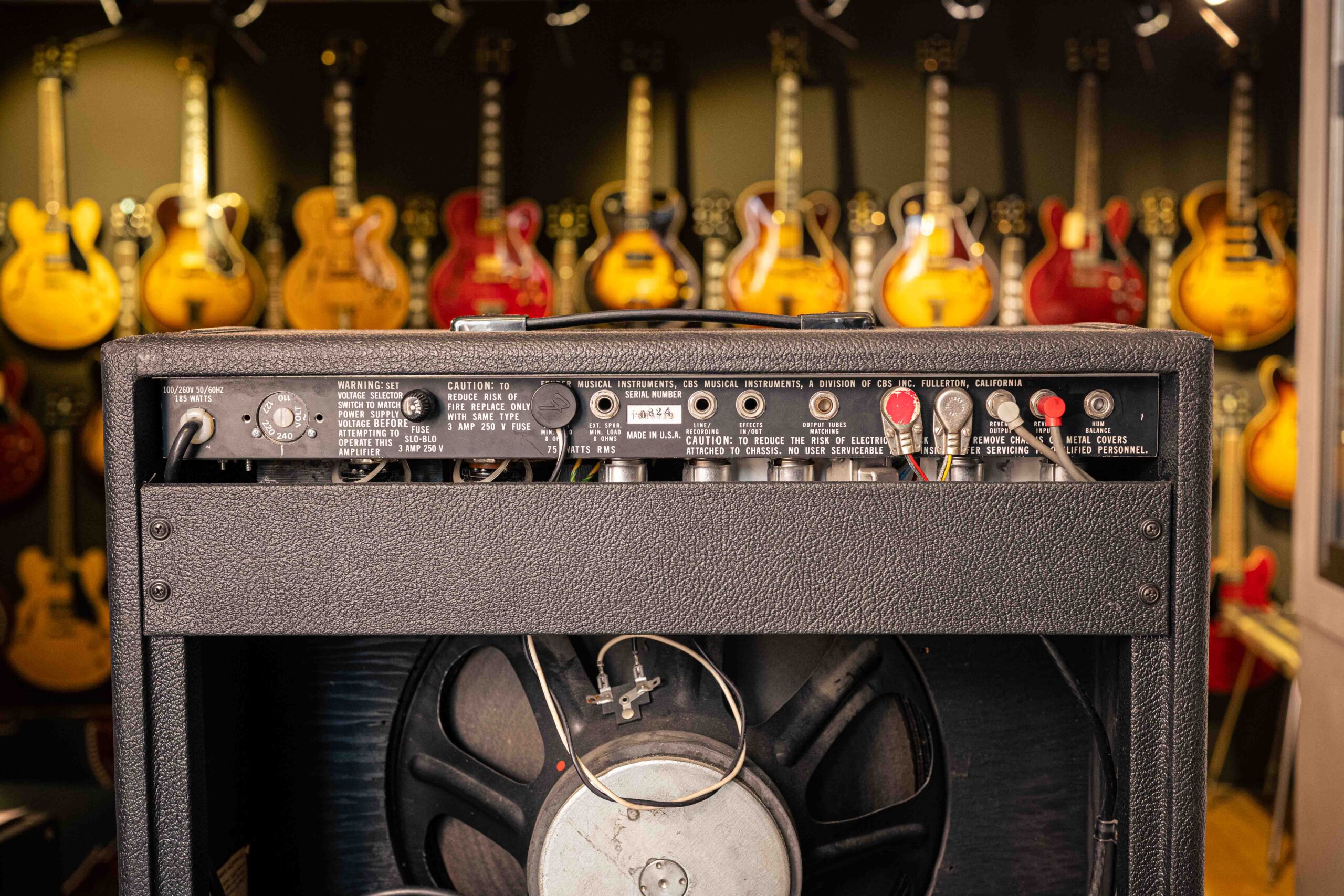 Fender 75 1980 - Image 4