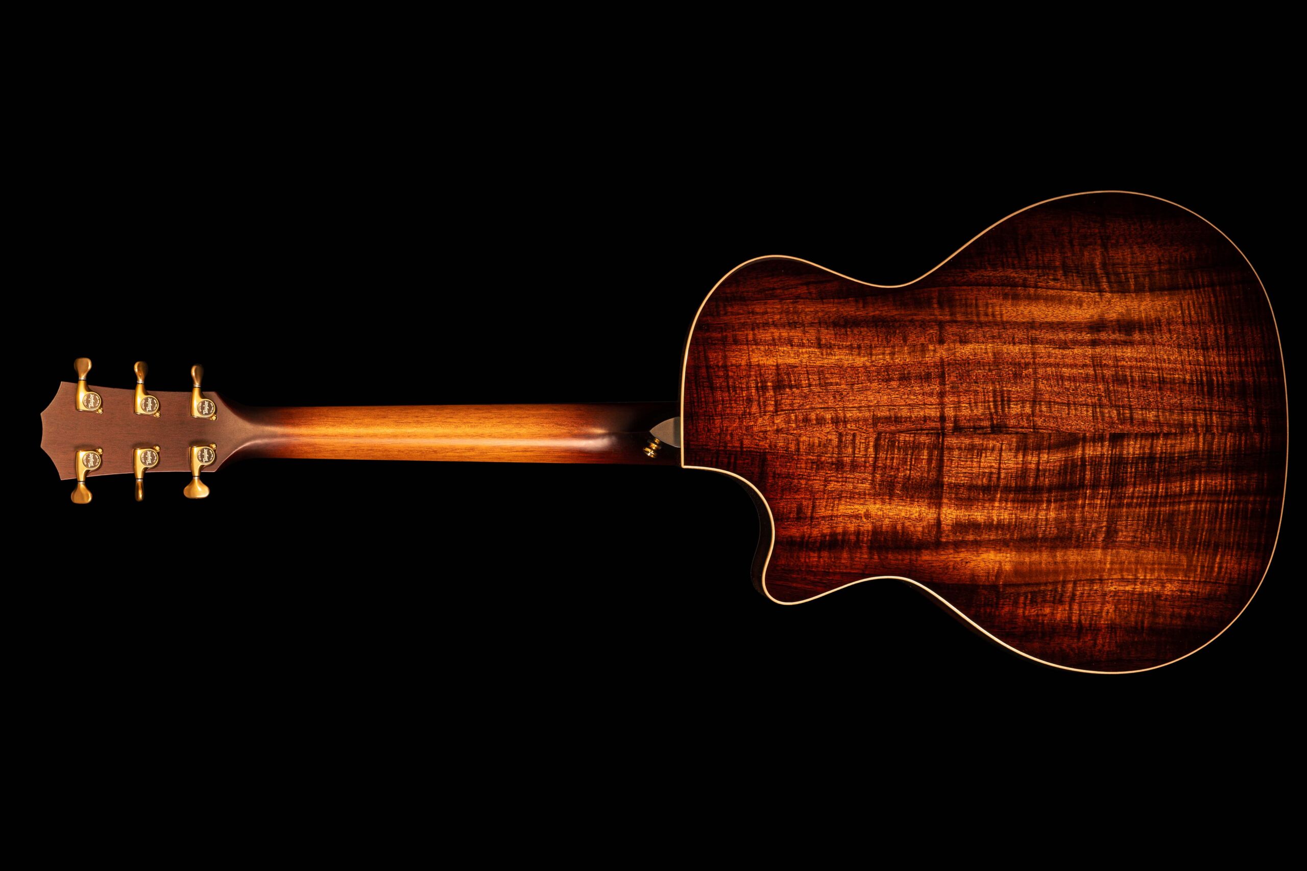 Taylor K24ce Next Generation - Image 3