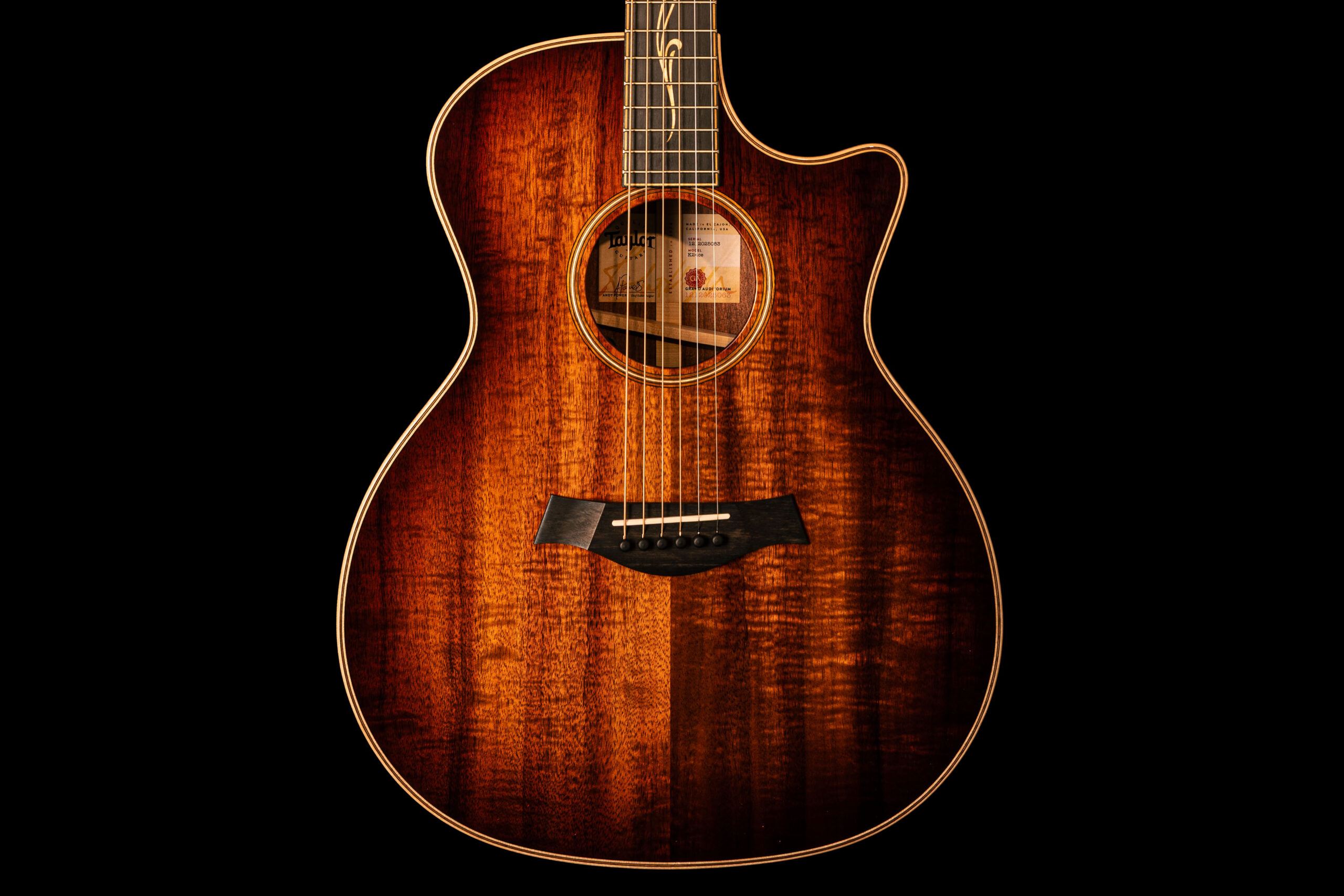 Taylor K24ce Next Generation - Image 2
