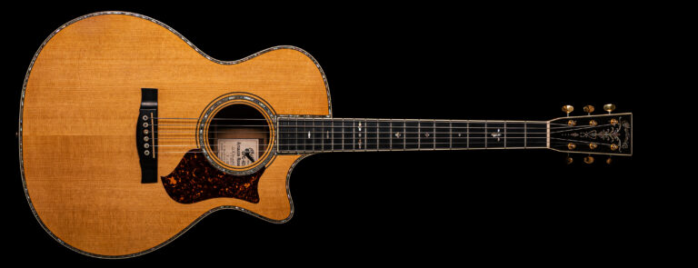 Martin GPC-42E Limited Edition #5/25 2010