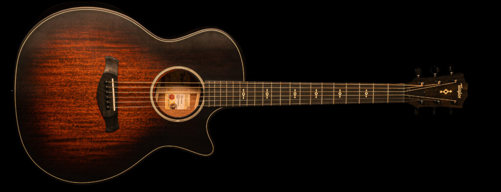 Taylor 324ce Builders Edition Next Generation