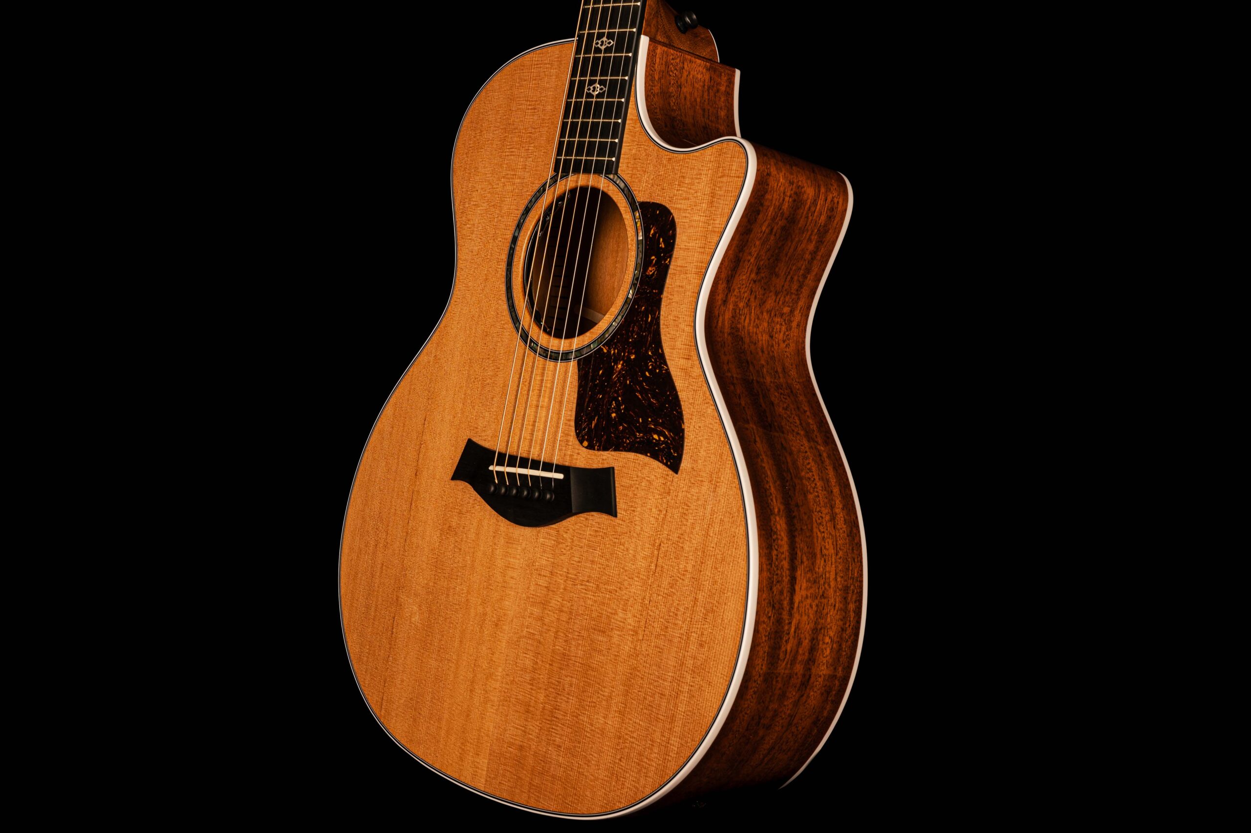 Taylor 514ce Next Generation – Bild 4