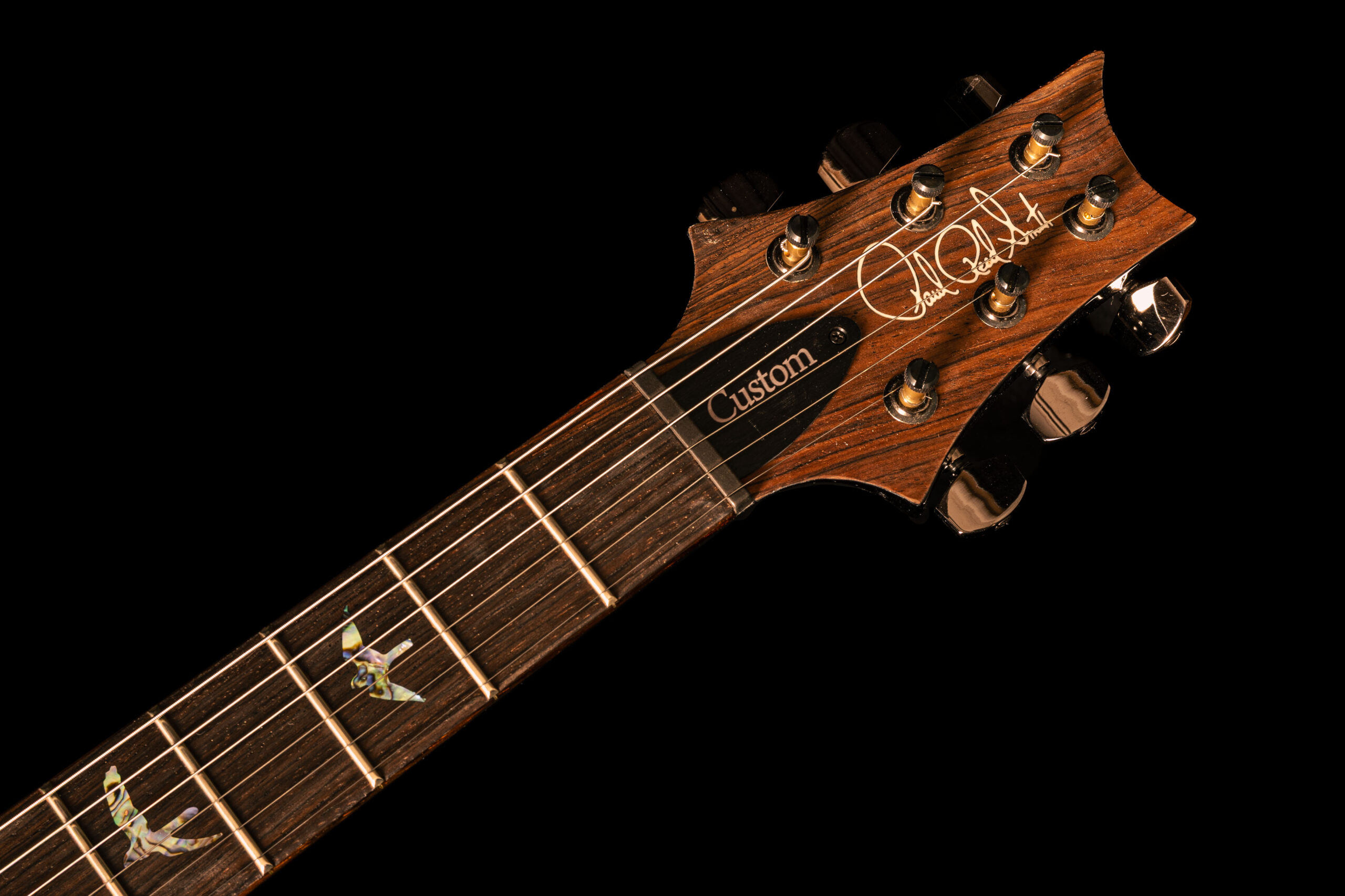 PRS Custom 24-08 Wood Library Aqua – Bild 7